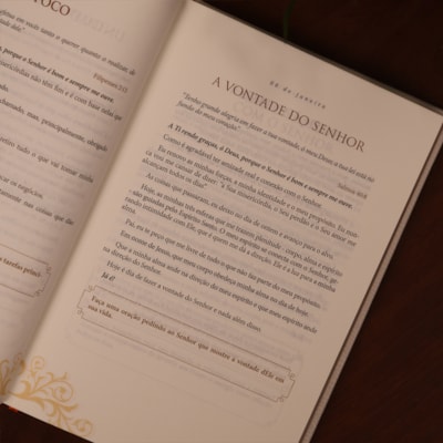 image_b1cfd069-c26e-46d9-b9b3-460c114a9581