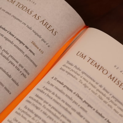 image_0bf04163-37f6-42ee-b7b4-88c6636cf3f5