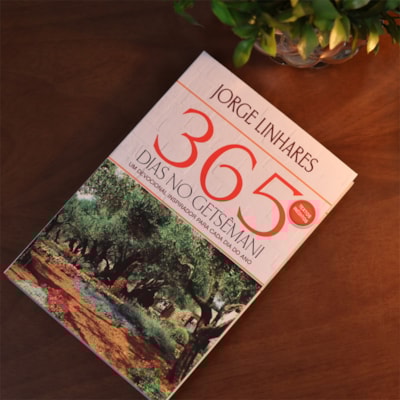 image_e5f7310b-2698-4423-95f6-db3d43da0659