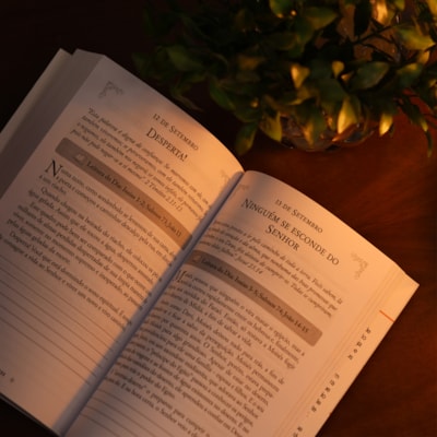 image_03de634a-4635-4a84-a7a5-10fef74cb4e6