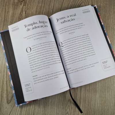 image_ad1e65c4-753c-49de-bde4-42a3e1d5010c