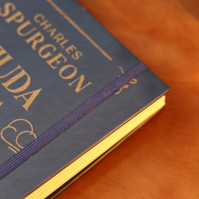 image_00853822-048a-48ba-8ea3-4c20e8f8e140