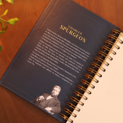 image_dd3316cc-e8d0-4edb-93a1-54052f0ea879