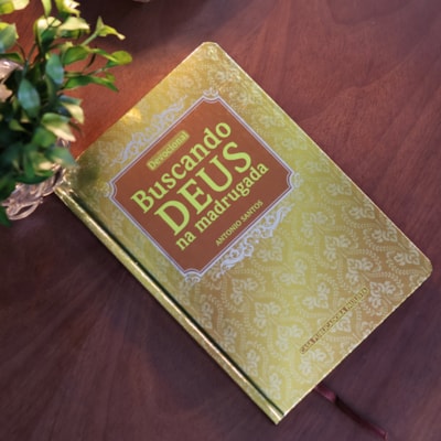 image_a27536e9-3b59-49ce-a39d-1e4914f4ba60