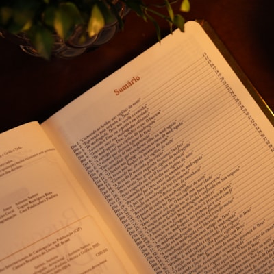 image_e0f393aa-987a-41b5-89b5-a7ccac83b541