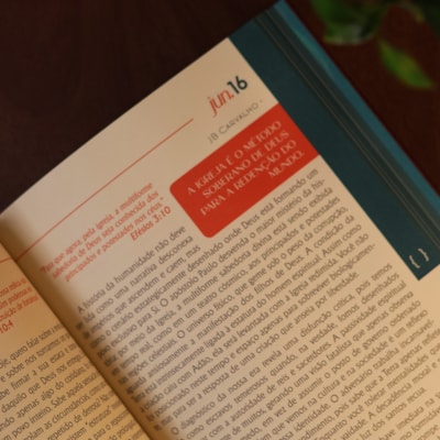 image_229b7af0-5f55-477c-809a-64d2dbbe4bd4