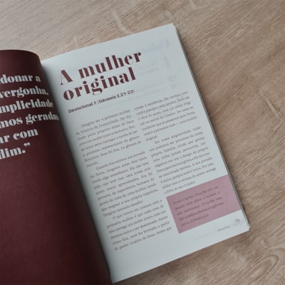 image_42e34516-ef4b-4b71-8421-bb9ac75a1a34