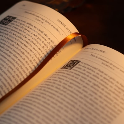 image_91a06dd9-62b0-44b8-9fd4-87317804f016