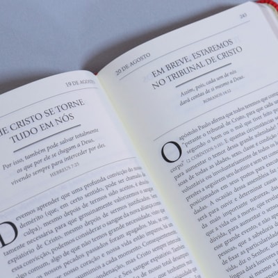 image_ad586b32-d62b-4c98-b013-65d3c18ff375