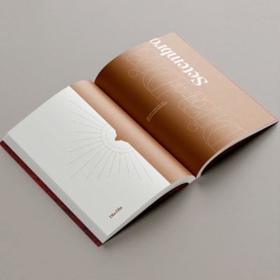 image_b11e65d7-21fd-44c7-845f-7306ad7b758b