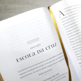 Segunda imagem do produto Devocional dos Clássicos | Vol.1 | Capa Dura Ornamentos