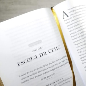 Segunda imagem do produto Devocional dos Clássicos | Vol.1 | Capa Dura Ornamentos