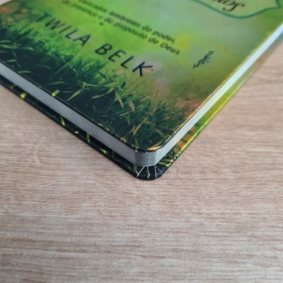 image_7a918533-3f68-41f2-a68e-a456cb931f17