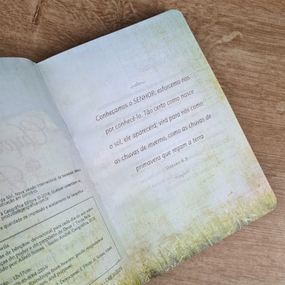 image_9b88238b-e826-4b79-8919-a5995b817ab3