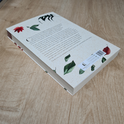 image_3ad99071-5e59-4f23-9f06-12e97a29d0e8