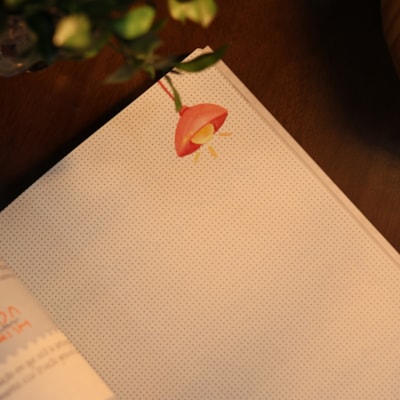 image_2e32b765-c1d1-4bca-85bf-e0124577ffc2