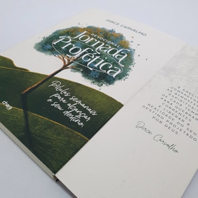 image_1af5a241-f52c-4af3-a9bf-a8e9bca317af