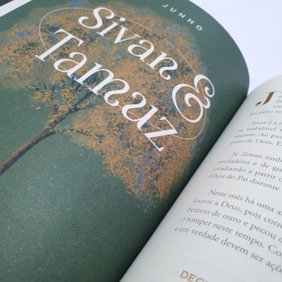 image_561415fa-2701-4121-9771-4452caf33a8c