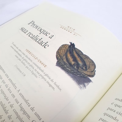 image_4600a6c8-92ab-4b7c-9711-7628b9496119