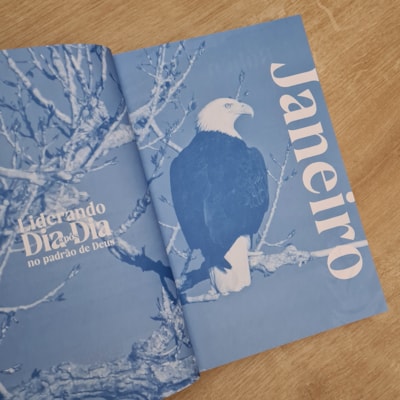 image_88377061-79e0-41a4-a6e1-6b1db35eec0c