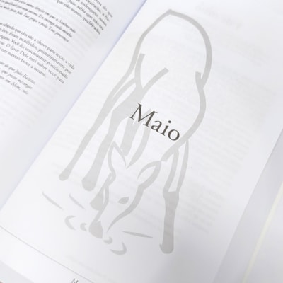 image_b38e82c5-d377-491c-9ec6-39a0795f1890