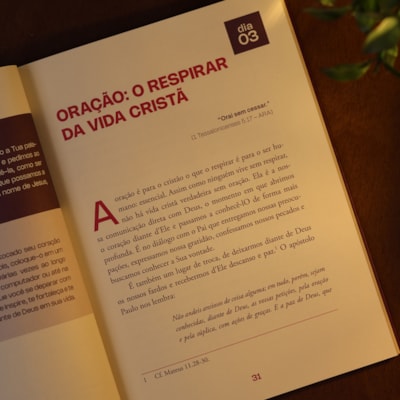 image_3cf3b53f-fc47-49e1-a5ac-7e3043d16865