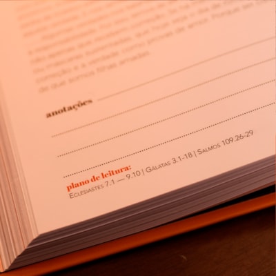 image_a3e7f3f5-537f-4056-94ba-d7892eb01f72