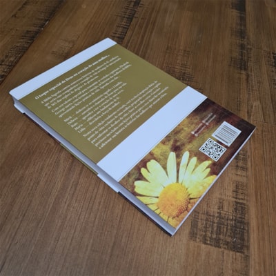 image_2d4cd514-a9d2-4775-9066-d2d4cb28d67f