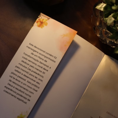 image_169f99d8-2c5a-416d-be30-c7201a289772