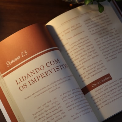 image_70c7f5ac-1c13-47ae-a5c9-54da1ecead48