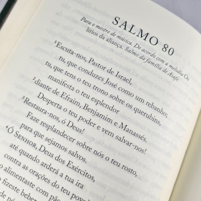 image_4b1fb568-0c42-45a0-8a05-7c29fb5257c6