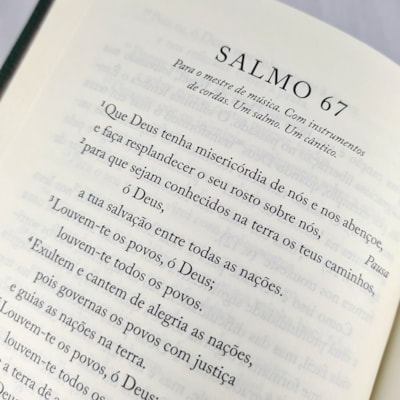 image_305c4cd6-76c9-4b4f-bef1-59122b3abca4