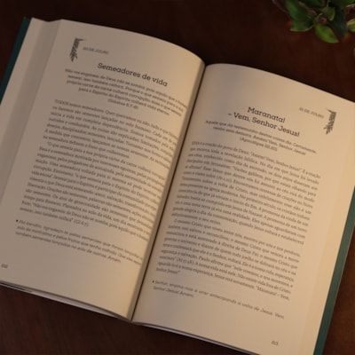 image_8a2a4f80-ebf0-4de3-9604-2b724e3efc4b