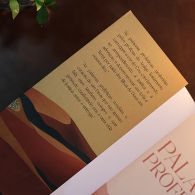 image_92d5ed17-5ad3-495a-a4e7-ebcdfa918b63