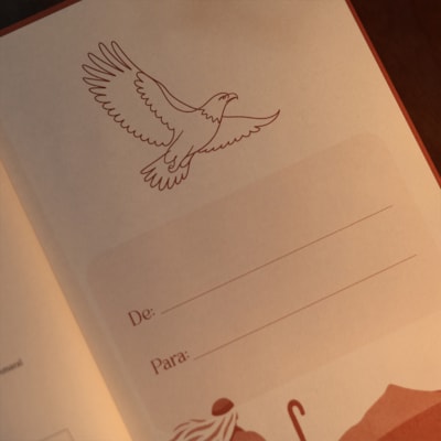 image_4232ba47-0cf9-4736-9971-7b8f9107a079