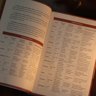 image_d6da2561-8351-4269-8002-1d7704724758