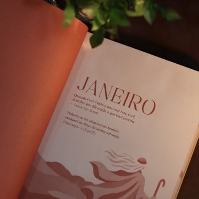 image_2e0c0584-477b-4778-bfd7-0995c1cc9231