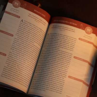 image_bffb1699-8af0-4b84-9af7-0d2291be4421