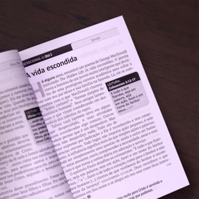 image_aff5f049-e395-4741-8eb6-a0eae842ee75