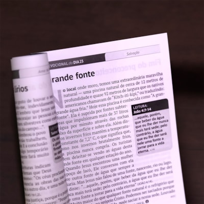 image_2a0e7e8c-4091-4501-8cb6-eaa14e964c0d