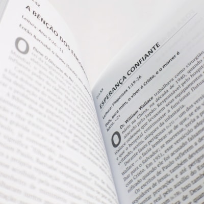 image_fdbccbe8-0ab7-4cd0-b305-58f473cc8998