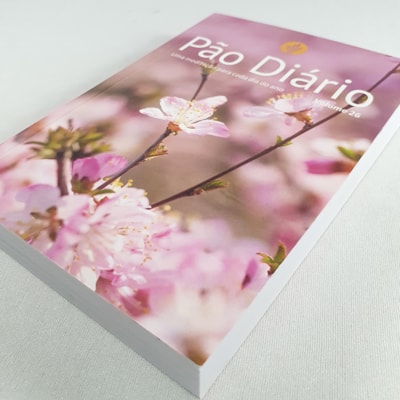 image_a9c3d4da-018f-4f35-9658-13e51cd59e8c