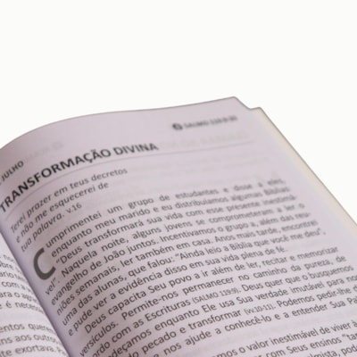 image_b4be161d-3b6f-49b7-a5ca-7bd79a4d3b31