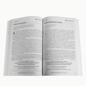 Segunda imagem do produto Devocional Pão Diário | Vol. 29 | Permanecer