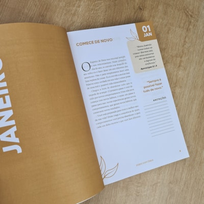 image_d669edc3-e12e-467e-bc89-a7df31733fce