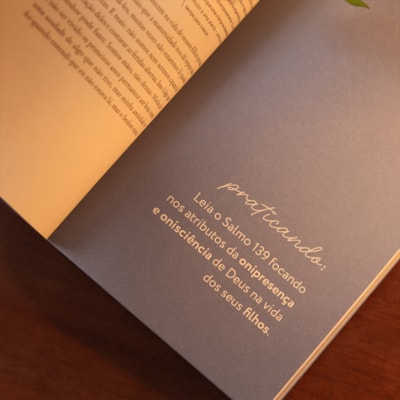 image_081effcc-6af9-48ea-829a-6b5cb86fd806