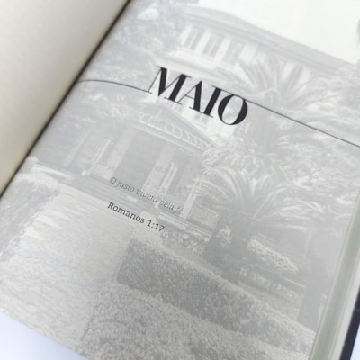 image_8281aef9-0239-48f6-9fc8-6b4b05fad26d