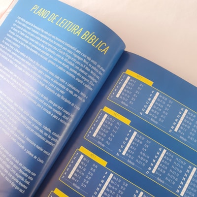 image_6b59a17d-2752-4c96-93e1-df76c44d2e21