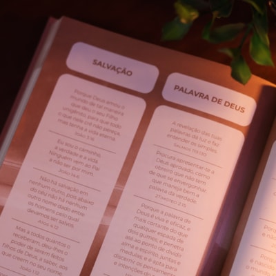 image_7253cb16-f163-4b89-aae6-575543a2e5de