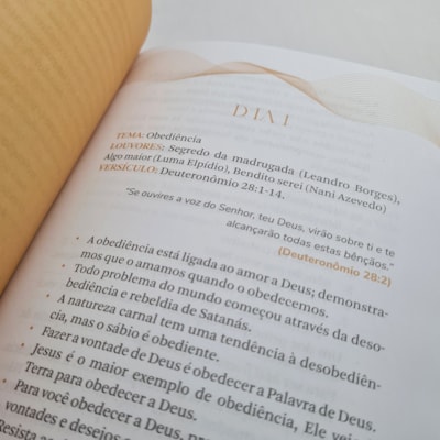 image_b807d311-07db-48a3-bcf9-87d6d6905e45